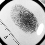 A magnifying glass enlarges a fingerprint on white paper, with a ruler next to the print for scale. Another faint fingerprint is visible in the background.